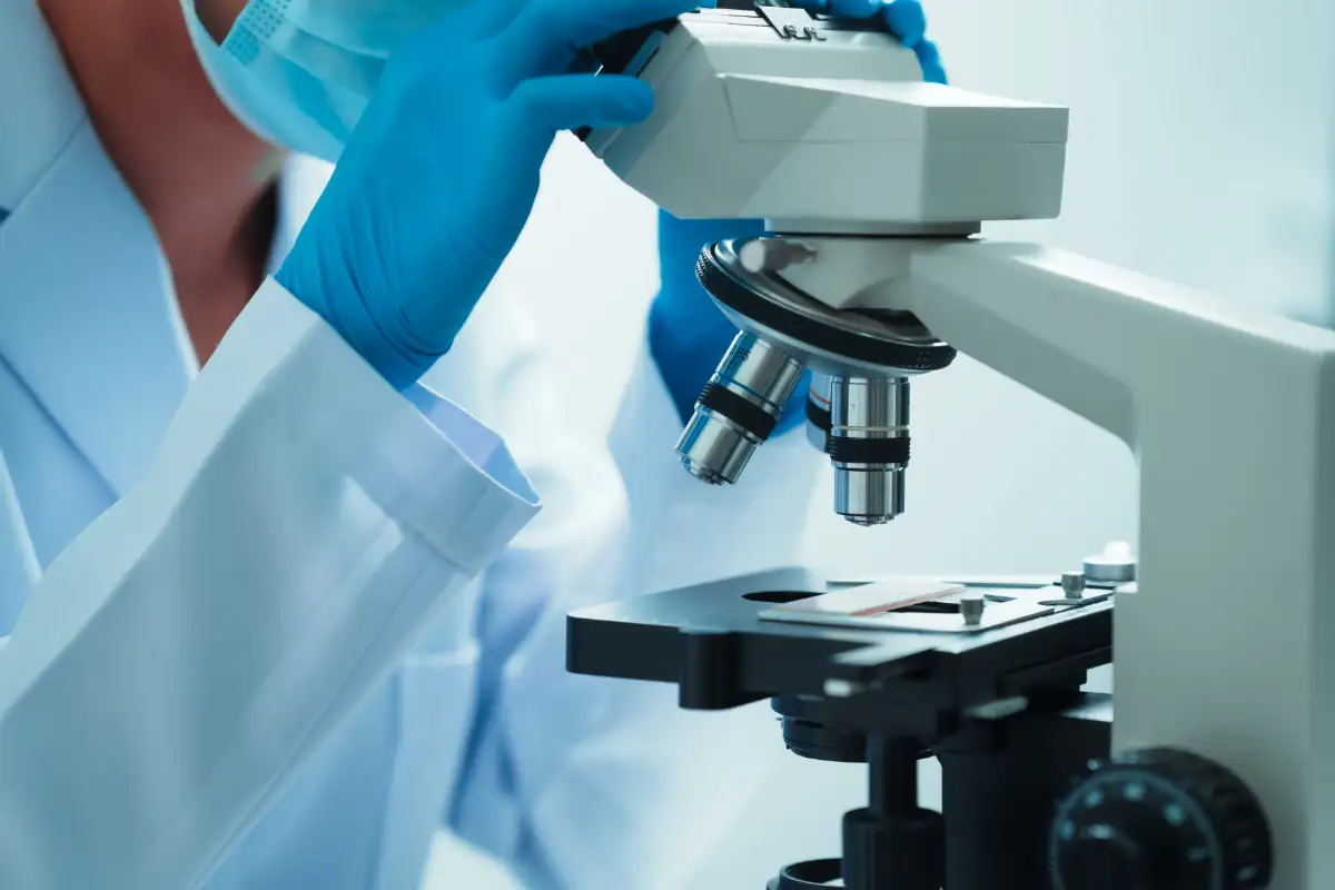 Analysis Under Microscope, Scientific Laboratory Research Calibraation