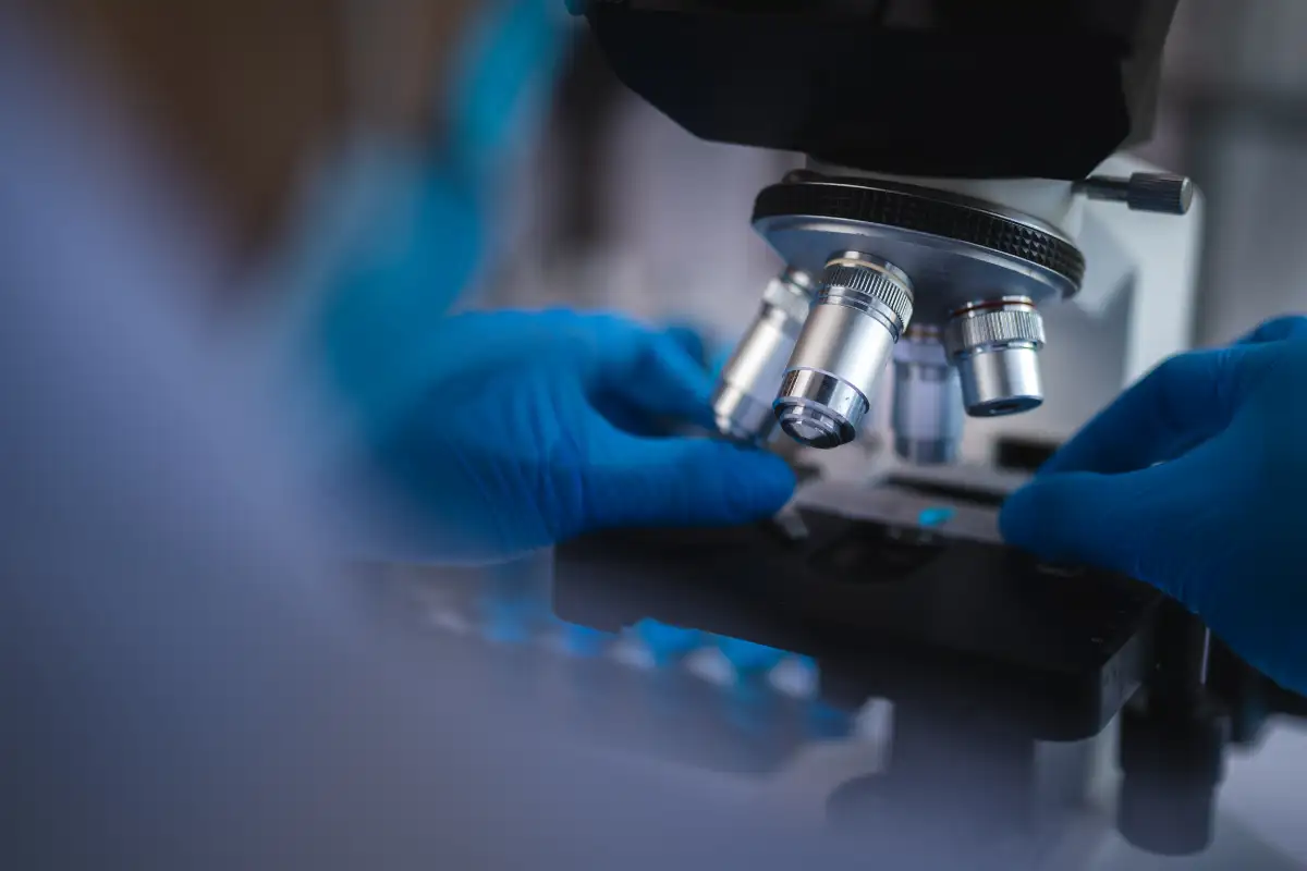 Microscope Slide At Laboratory